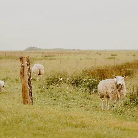 ホテル Kontorhaus *