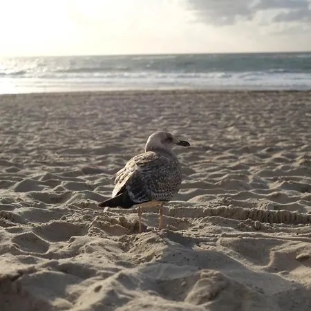 Kontorhaus ホテル カイトゥム