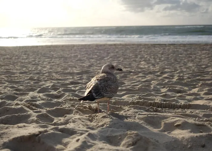 Kontorhaus Hotel Kejtum